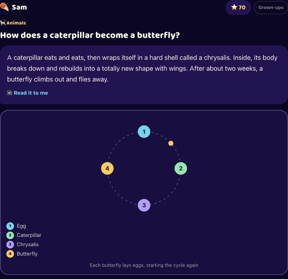 Howcomet answering how a caterpillar becomes a butterfly, with a ring diagram showing egg, caterpillar, chrysalis and butterfly going round.
